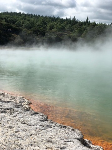 Misc Pics