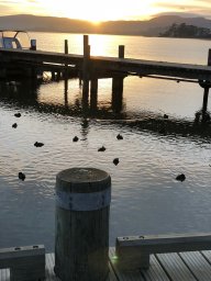 Misc Pics