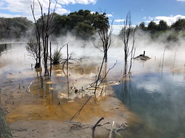 Misc Pics